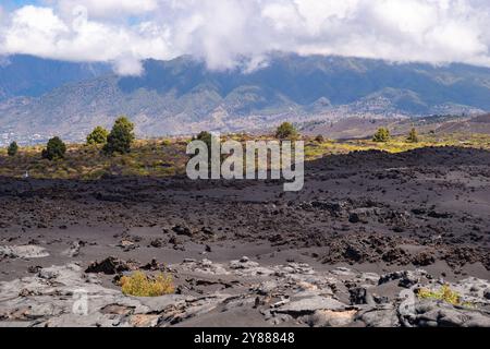 Vue sur la lave refroidie noire profonde et les buissons colorés vers les montagnes, la Palma Banque D'Images