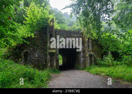 Stone Archway couvert de mousse et de verdure le long de Pathway à Ballysaggartmore, Lismore, Irlande Banque D'Images