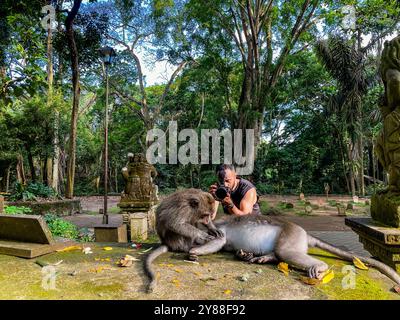 Jeune photographe masculin prenant des photos pour deux singes à la forêt de singes Bali Banque D'Images