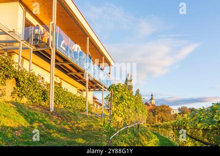 Kitzeck im Sausal : Festival du vin au Musée du vin de Kitzeck, vignoble à Süd-Steiermark, Steiermark, Styrie, Autriche Banque D'Images