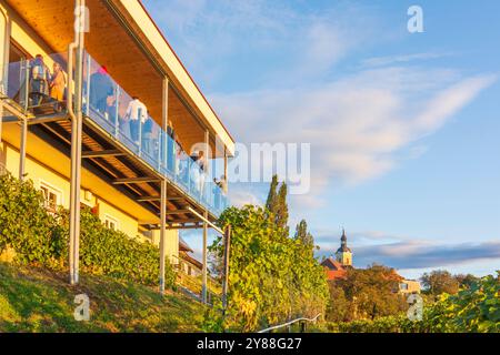 Kitzeck im Sausal : Festival du vin au Musée du vin de Kitzeck, vignoble à Süd-Steiermark, Steiermark, Styrie, Autriche Banque D'Images