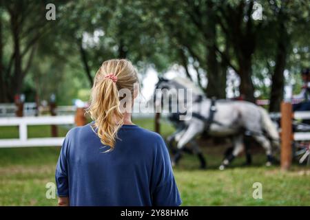 Femme regardant la compétition des essais de conduite de chevaux. Sport animal Banque D'Images