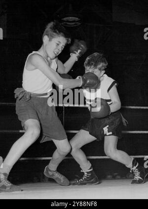 Johnny gagne maman un cadeau - Voici Johnny en action contre son adversaire. Le jeune Johnny Williams, de Southwark, Londres, est un jeune boxeur très prometteur. Bien qu'il ne soit pas un parent de l'autre Johnny Williams (le Rugby Heavy-Weight), il montre tous les signes d'être tout aussi bon - quand il prend un peu plus de poids! L'autre soir, Johnny est allé sur le ring au Fitzroy Lodge amateur Boxing Club, Southwark, Londres, pour participer à un tournoi de boxe junior. Comme il est si proche de Noël, le secrétaire du club a décidé de ne pas donner de prix aux garçons qui seraient appropriés pour eux de passer Banque D'Images