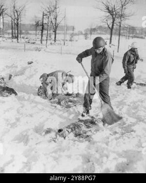 Récupérer les corps de camarades massacrés -- tâche désagréable de ces soldats américains récupérer les corps de leurs camarades qui ont été massacrés par les Allemands après avoir été faits prisonniers dans la récente route nazie à travers la Belgique. Dans ce champ, à la périphérie du village de Baugnez, un Yank balaie la neige d’un corps. 22 janvier 1945. (Photo d'Associated Press photo). Banque D'Images