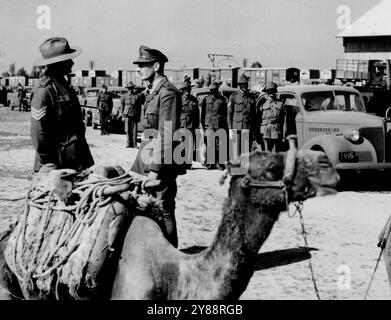 Le Sgt J. Phillips, (Army Service corps) avec un convoi de camions utilitaires pour les camps australiens. 01 janvier 1940. Banque D'Images