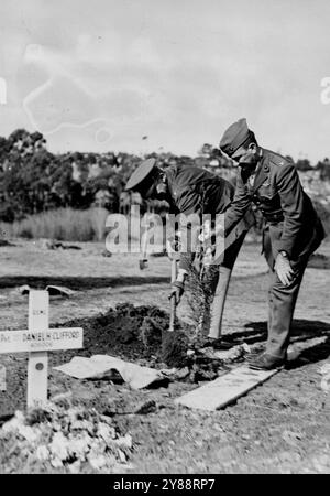 Célébration du jour de l'arbre en Nouvelle-Zélande : la célébration du jour de l'arbre à Auckland comprend des cérémonies dans la section du cimetière de Waikumete réservée aux membres des forces américaines. Le colonel J.A.Boyers plante un arbre. 19 septembre 1943. (Photo de New Zealand Herald) Banque D'Images