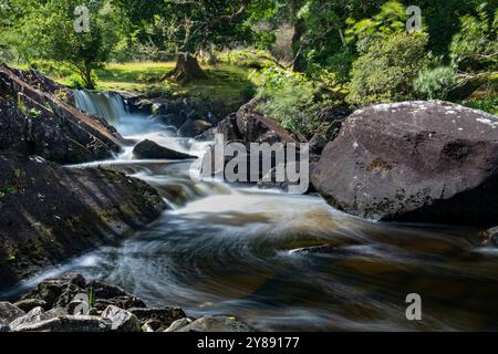 Beauté sauvage de la cascade de Derrycunnihy, Kerry Banque D'Images