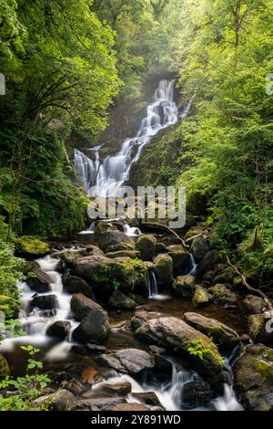 Chute d'eau Torc entourée d'une végétation luxuriante dans le comté de Kerry Banque D'Images
