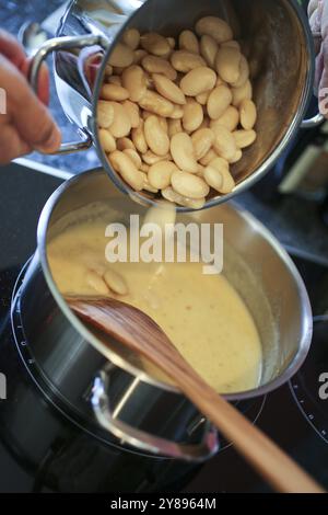 Cuisine souabe, préparation de fèves avec boulettes de levure, fèves, haricots, fèves de cheval, fèves de fava, haricots cuits au roux, sauce blanche, marmite Banque D'Images