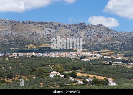 Un village pittoresque entouré d'oliveraies sous un ciel bleu clair avec des montagnes en arrière-plan, Villanueva de la Concepcion, la Villa de To Banque D'Images