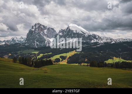 Vue panoramique du Groupe Langkofel depuis Seiser Alm dans les Dolomites du Tyrol du Sud, Italie, Europe Banque D'Images