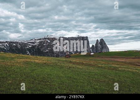 Vue panoramique du Mont Sciliar sur la Seiser Alm dans les Dolomites au Tyrol du Sud, Italie, Europe Banque D'Images