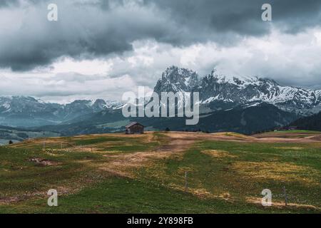 Vue panoramique du Groupe Langkofel depuis Seiser Alm dans les Dolomites du Tyrol du Sud, Italie, Europe Banque D'Images