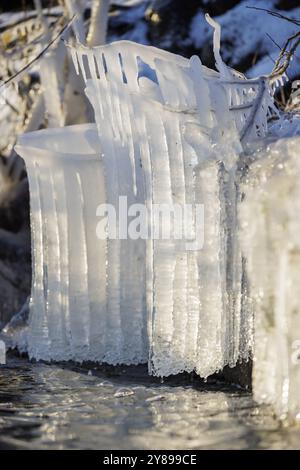 Vue rapprochée des glaçons transparents dépassant des branches dans la rivière, Niederzell, Reichenau, lac de Constance, Bade-Wuertemberg, Allemagne, Europe Banque D'Images