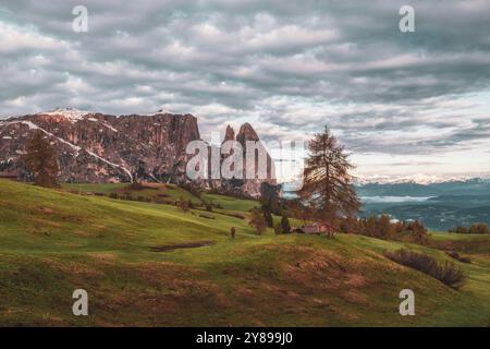 Vue panoramique du Mont Sciliar sur la Seiser Alm dans les Dolomites au Tyrol du Sud, Italie, Europe Banque D'Images