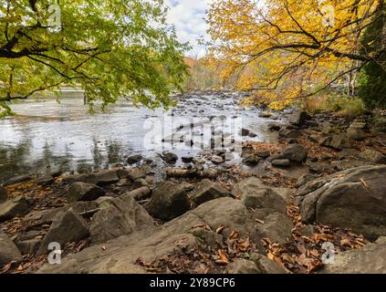 Rivière Oxongue rocheuse et feuilles colorées dans le parc Ragged Falls en Ontario en automne Banque D'Images