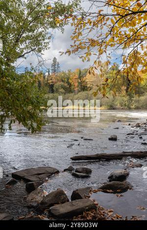 Rivière Oxongue rocheuse et feuilles colorées dans le parc Ragged Falls en Ontario en automne Banque D'Images