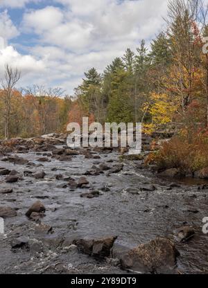 Rivière Oxongue rocheuse et feuilles colorées dans le parc Ragged Falls en Ontario en automne Banque D'Images