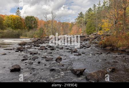 Arbres colorés le long de la rivière Rocky Oxongue en Ontario à l'automne Banque D'Images