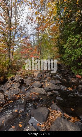 Rivière Oxongue rocheuse et feuilles colorées dans le parc Ragged Falls en Ontario en automne Banque D'Images