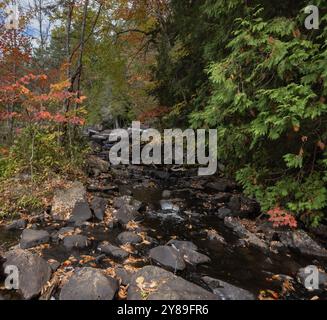 Rivière Oxongue rocheuse et feuilles colorées dans le parc Ragged Falls en Ontario en automne Banque D'Images