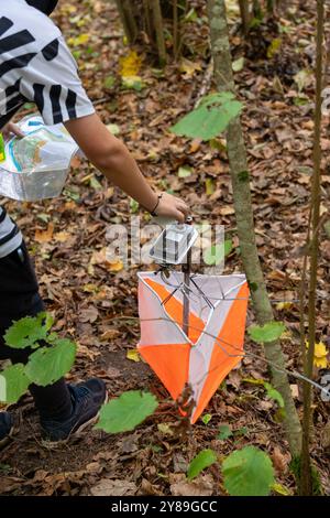 Un homme frappant au point de contrôle de la course d'orientation de près. Mâle en forêt vérifiant à un point de contrôle. Mise au point sélective Banque D'Images