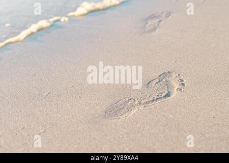Vue en grand angle des empreintes de pas sur la plage de sable au bord de la mer pendant le coucher du soleil, espace de copie Banque D'Images