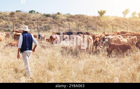 Bétail, agriculteur et campagne avec boeuf, agriculture et production laitière sur le champ. Plein air, nature et élevage en Afrique avec soin, travail et Banque D'Images