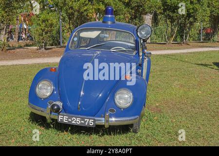 Voiture de police bleue volkswagen classique garée sur un terrain herbeux, mettant en valeur son charme vintage et son importance historique Banque D'Images