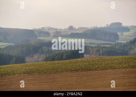 Les terres agricoles ondulantes s'étendent à travers la campagne près de Wincrange dans le nord du Luxembourg, lieu d'une bataille de chars pendant la Seconde Guerre mondiale. Banque D'Images