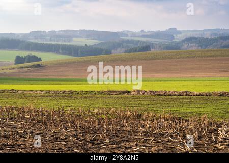 La bataille des Ardennes, site de bataille de chars à Clervaux, Luxembourg. Ouverture d'une route vers Bastogne Banque D'Images