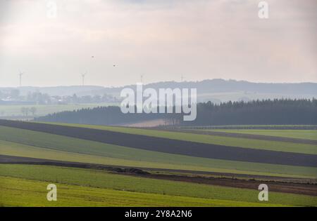 La bataille des Ardennes, site de bataille de chars à Clervaux, Luxembourg. Ouverture d'une route vers Bastogne Banque D'Images