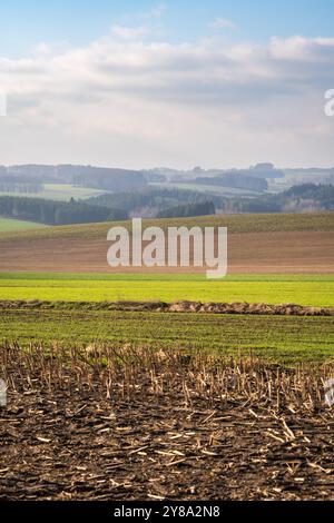 La bataille des Ardennes, site de bataille de chars à Clervaux, Luxembourg. Ouverture d'une route vers Bastogne Banque D'Images