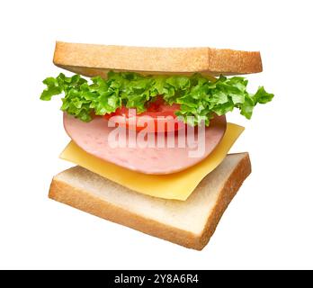 Délicieux sandwich avec des couches d'ingrédients isolés sur fond blanc Banque D'Images
