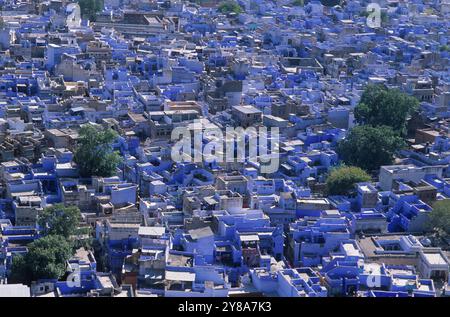 Inde, Rajasthan, les teintes bleues des maisons de Jodhpur, la ville bleue. Banque D'Images