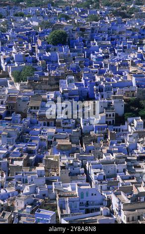 Inde, Rajasthan, les teintes bleues des maisons de Jodhpur, la ville bleue. Banque D'Images