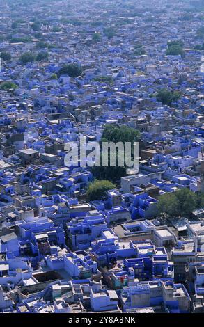 Inde, Rajasthan, les teintes bleues des maisons de Jodhpur, la ville bleue. Banque D'Images