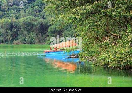 Un bateau traditionnel sur les rives du lac Linow, un lac volcanique à haute teneur en soufre, Tomohon, Sulawesi du Nord. Banque D'Images