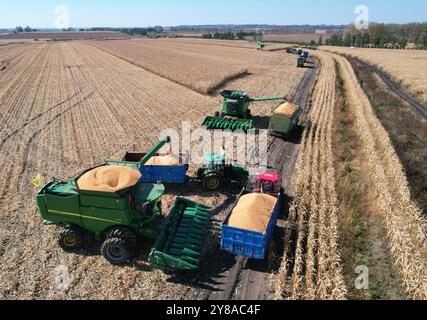 Beijing, China. 1st Oct, 2024. An aerial drone photo shows agricultural machines harvesting corn at a farm of Beidahuang Group in northeast China's Heilongjiang Province, Oct. 1, 2024. Credit: Xu Yingxian/Xinhua/Alamy Live News Banque D'Images