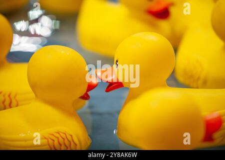 Cankies en caoutchouc dans l'eau au match de carnaval Banque D'Images