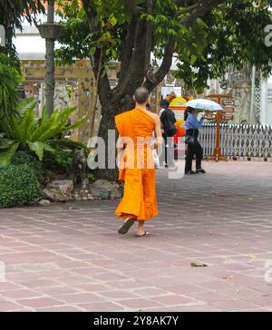 Bangkok. Un jeune moine bouddhiste par derrière alors qu'il marche dans le complexe du temple Wat Pho Banque D'Images