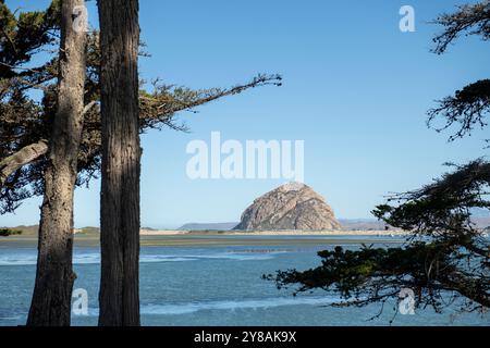 Vue sur Morro Rock à travers les arbres, à travers les marais et le port Banque D'Images