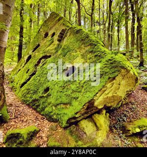 Roche couverte de mousse dans un paysage rocheux imposant dans une forêt naturelle, la petite Suisse luxembourgeoise, Luxembourg, Kleine Luxemburgische Schweiz, Banque D'Images