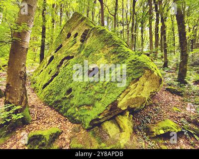 Roche couverte de mousse dans un paysage rocheux imposant dans une forêt naturelle, la petite Suisse luxembourgeoise, Luxembourg, Kleine Luxemburgische Schweiz, Banque D'Images