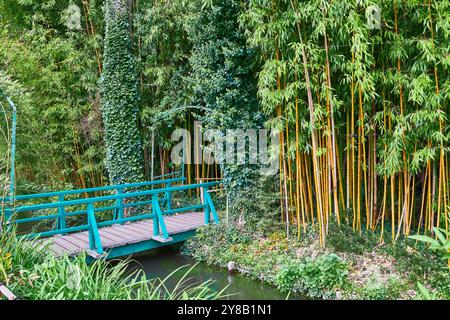 Pittoresque Bamboo Grove avec pont en bois sur un ruisseau tranquille dans le jardin de Claude Monet à Giverny, France. Banque D'Images