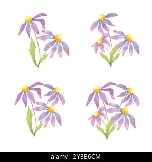 Quatre bouquets de coneflowers avec pétales violets et tiges vertes. Clipart aquarelle d'échinacée. Idéal pour créer des motifs botaniques pour tissus, emballages respectueux de l'environnement ou marchandises sur le thème du bien-être Banque D'Images