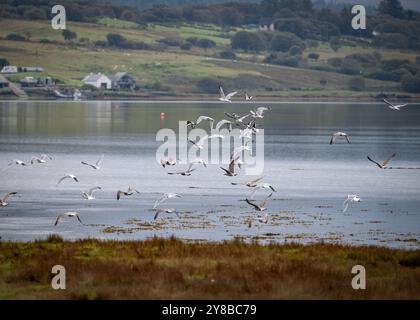Portree, île de Skye, Hébrides intérieures, Écosse, Royaume-Uni Banque D'Images