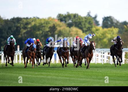 Mercian Warrior (deuxième à droite) monté par Jack Nicholls sur leur chemin pour remporter le handicap des Jockeys amateurs de Molton Brown lors du week-end des courses d'automne BetMGM à l'hippodrome d'Ascot, Berkshire. Date de la photo : vendredi 4 octobre 2024. Banque D'Images