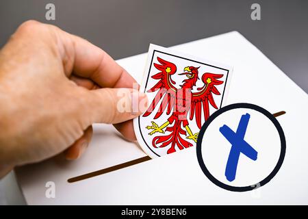 MONTAGE PHOTO, les armoiries du Brandebourg sont jetées dans une boîte de vote, photo symbolique de l'élection de l'Etat dans le Brandebourg, FOTOMONTAGE, Das WAPP Banque D'Images