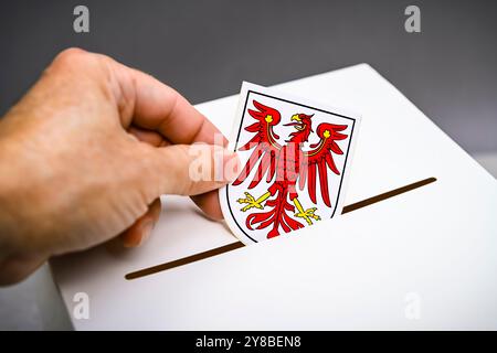 Les armoiries du Brandebourg sont jetées dans une boîte de vote, photo symbolique de l'élection de l'État dans le Brandebourg, Das Wappen von Brandenburg wird in e. Banque D'Images